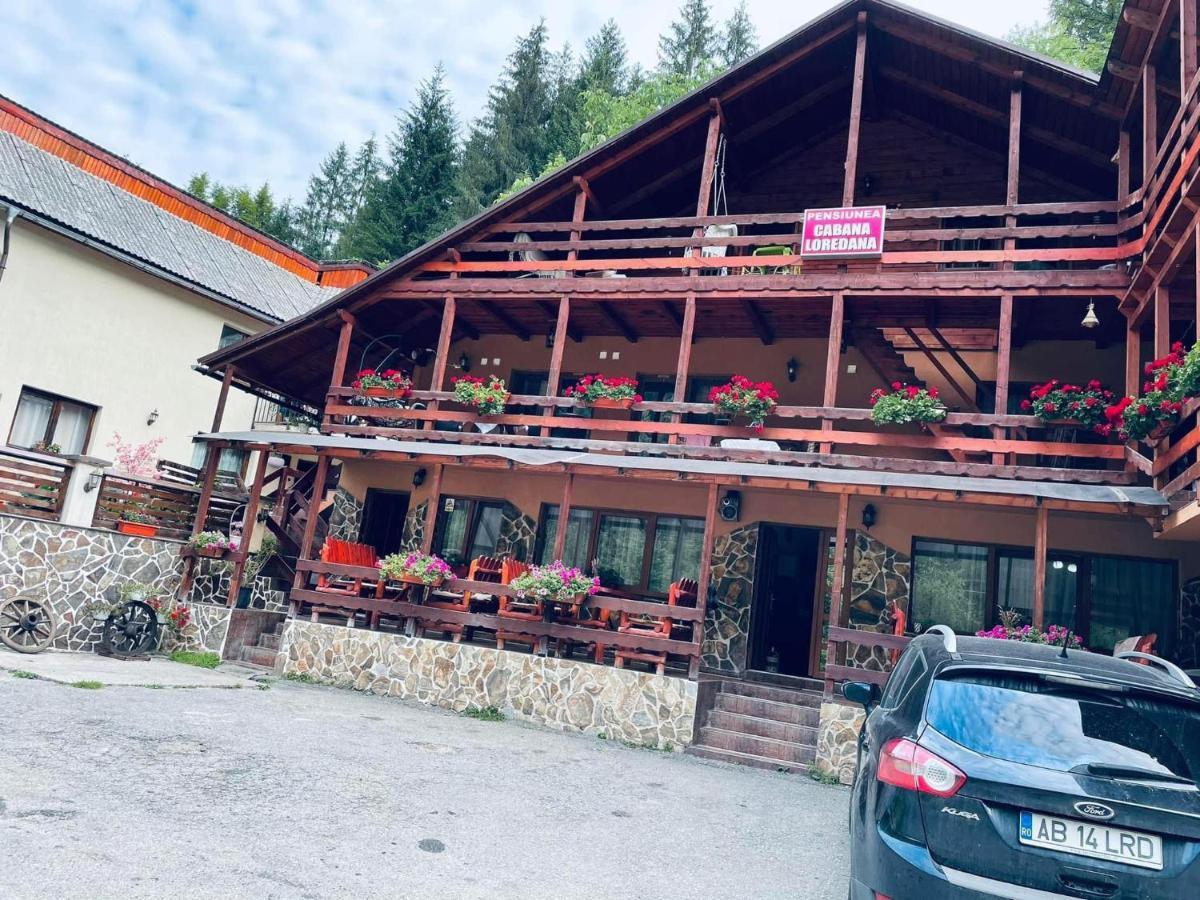 Cabana Loredana Vadu Motilor Екстериор снимка